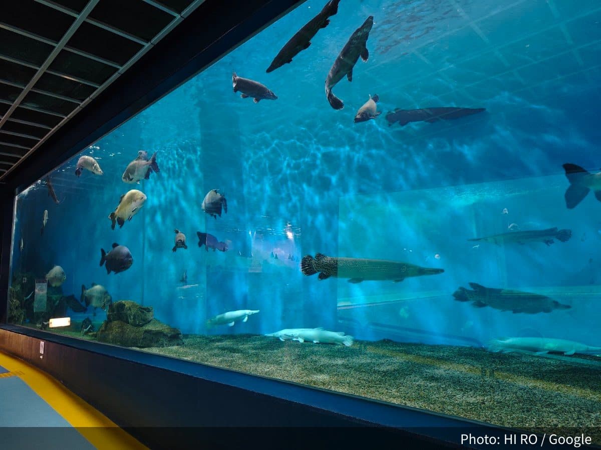 箱根園水族館の外観