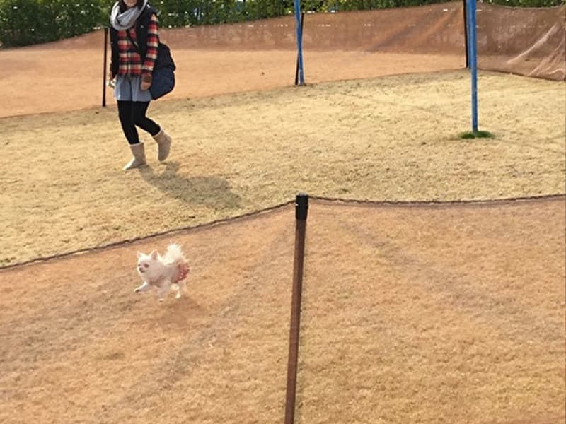 道の駅 鴨川オーシャンパーク ドッグランの外観