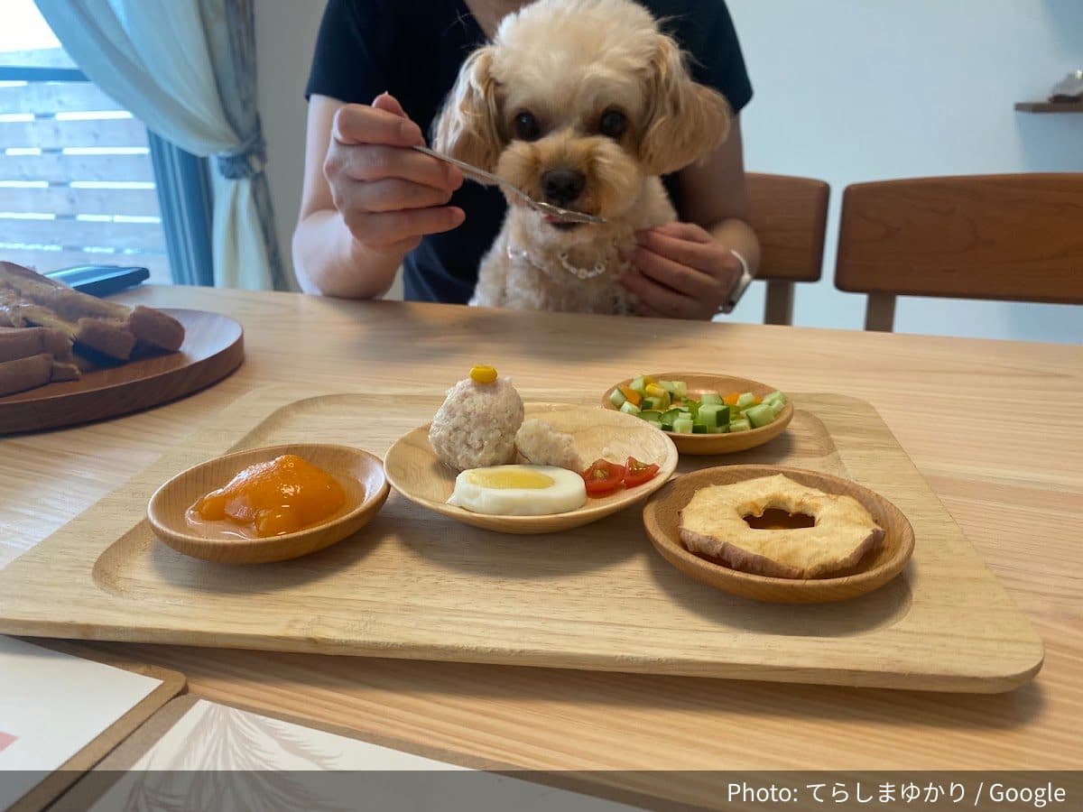 犬と私のオーガニックカフェsanctuaryの外観
