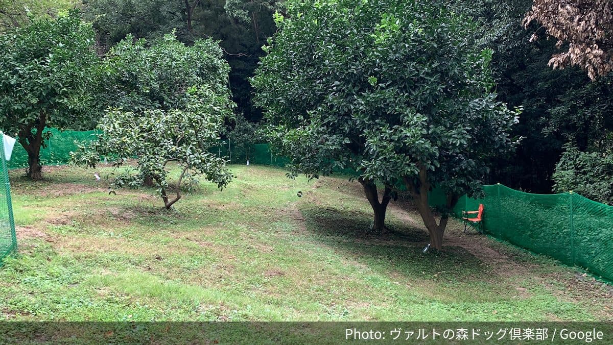 ヴァルトの森ドッグ倶楽部の外観