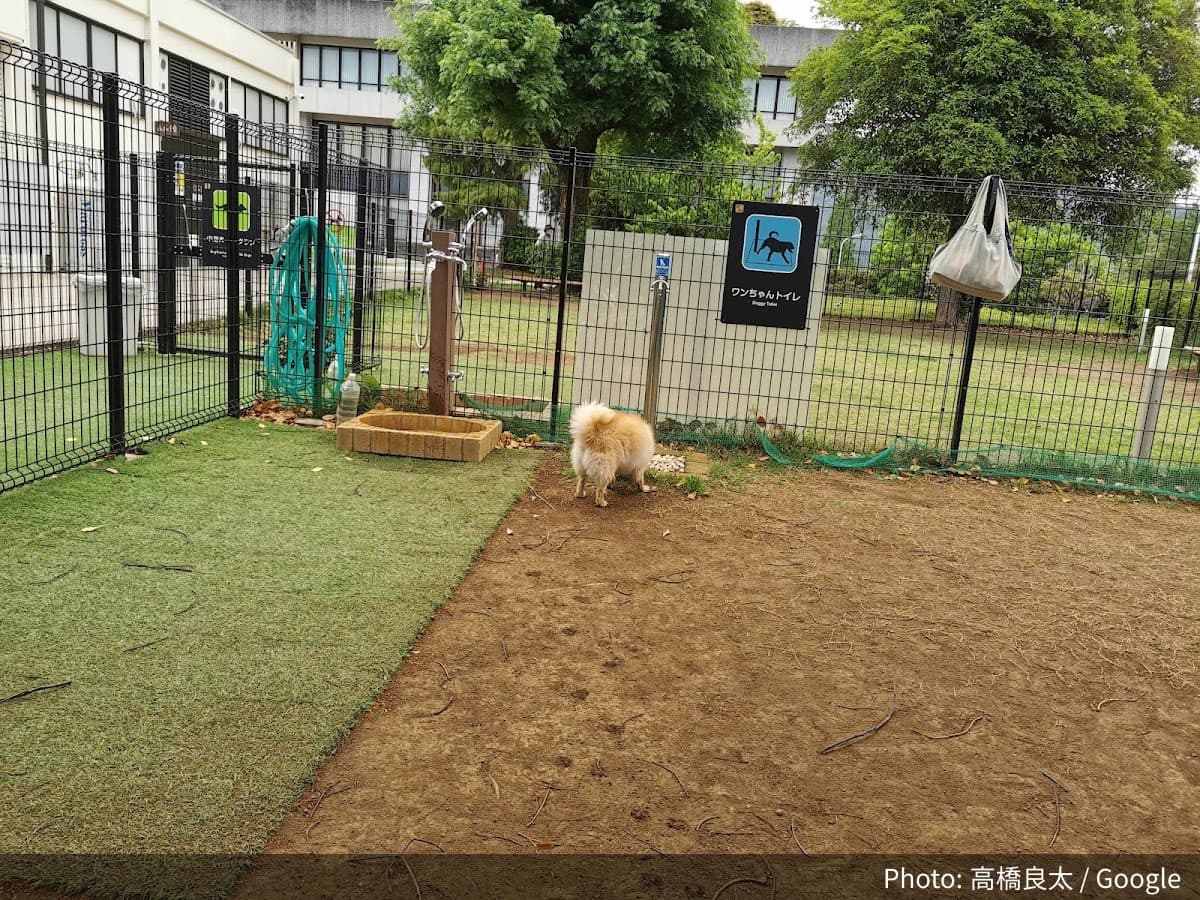 ビオトピア ドッグランの外観