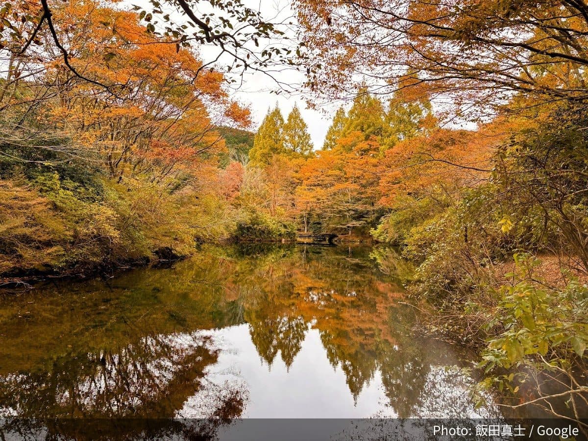 原生の森公園の外観