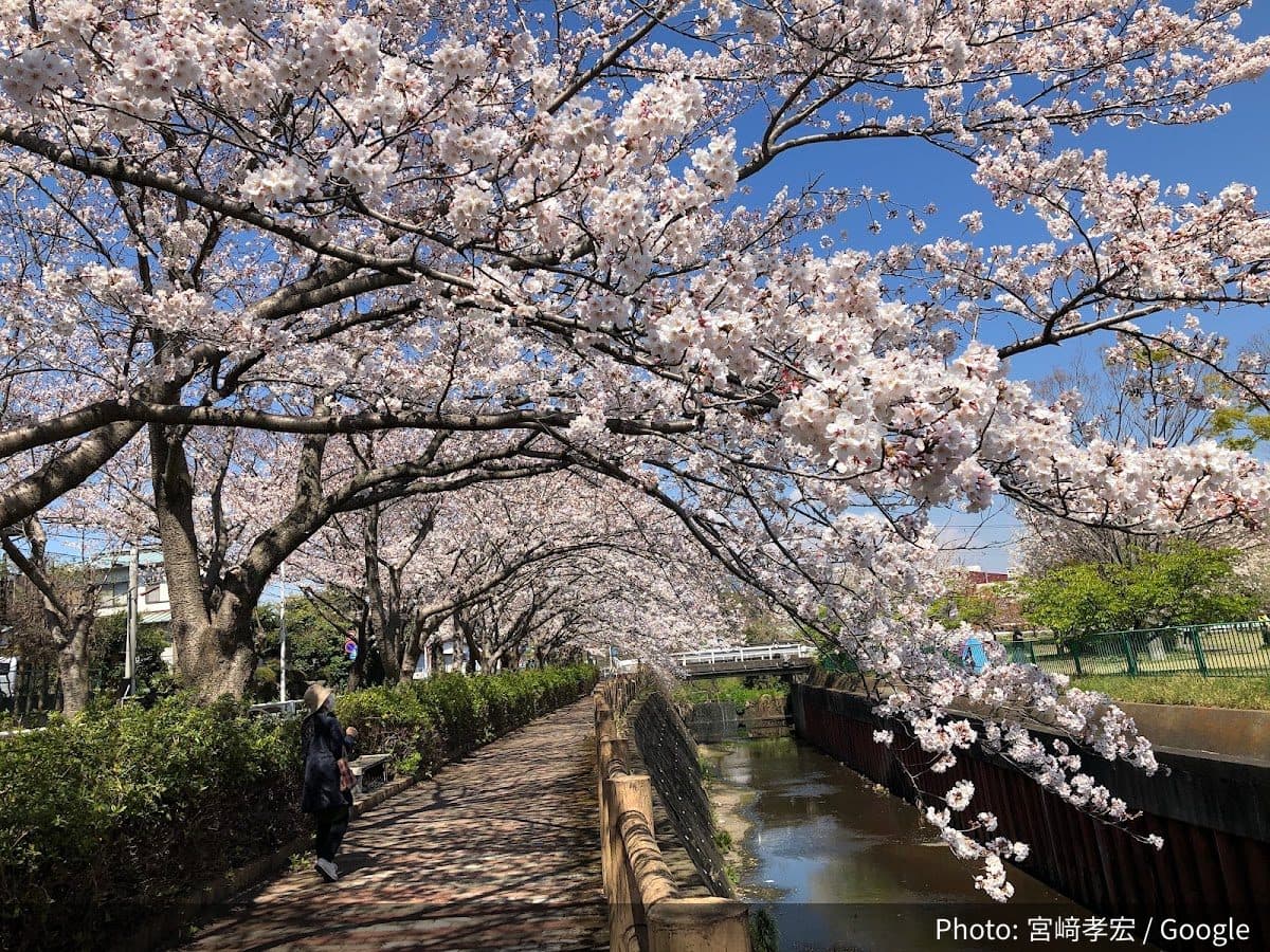 門池公園の外観
