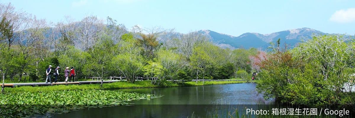 箱根湿生花園の外観