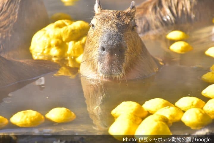 伊豆シャボテン動物公園の外観