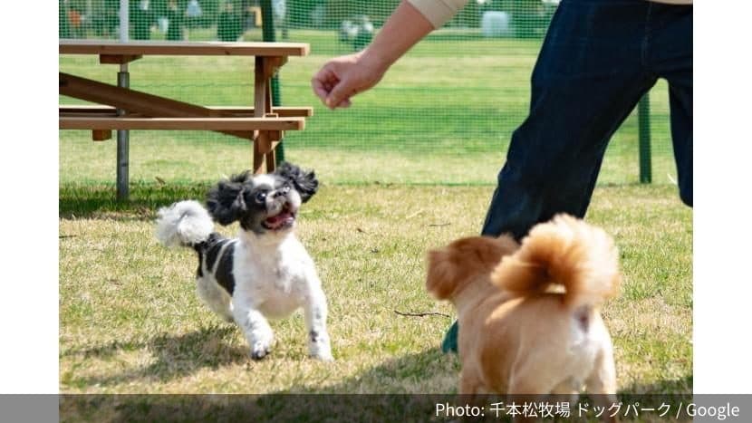 千本松牧場の外観