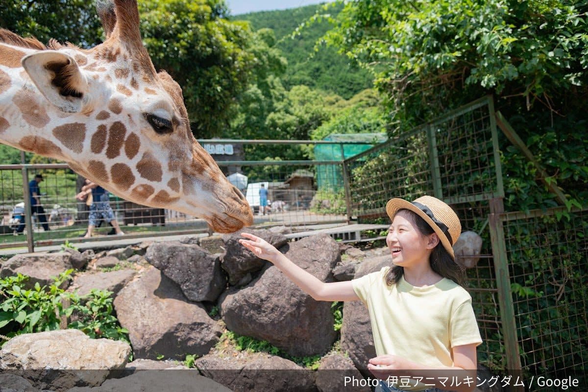 伊豆アニマルキングダムの外観