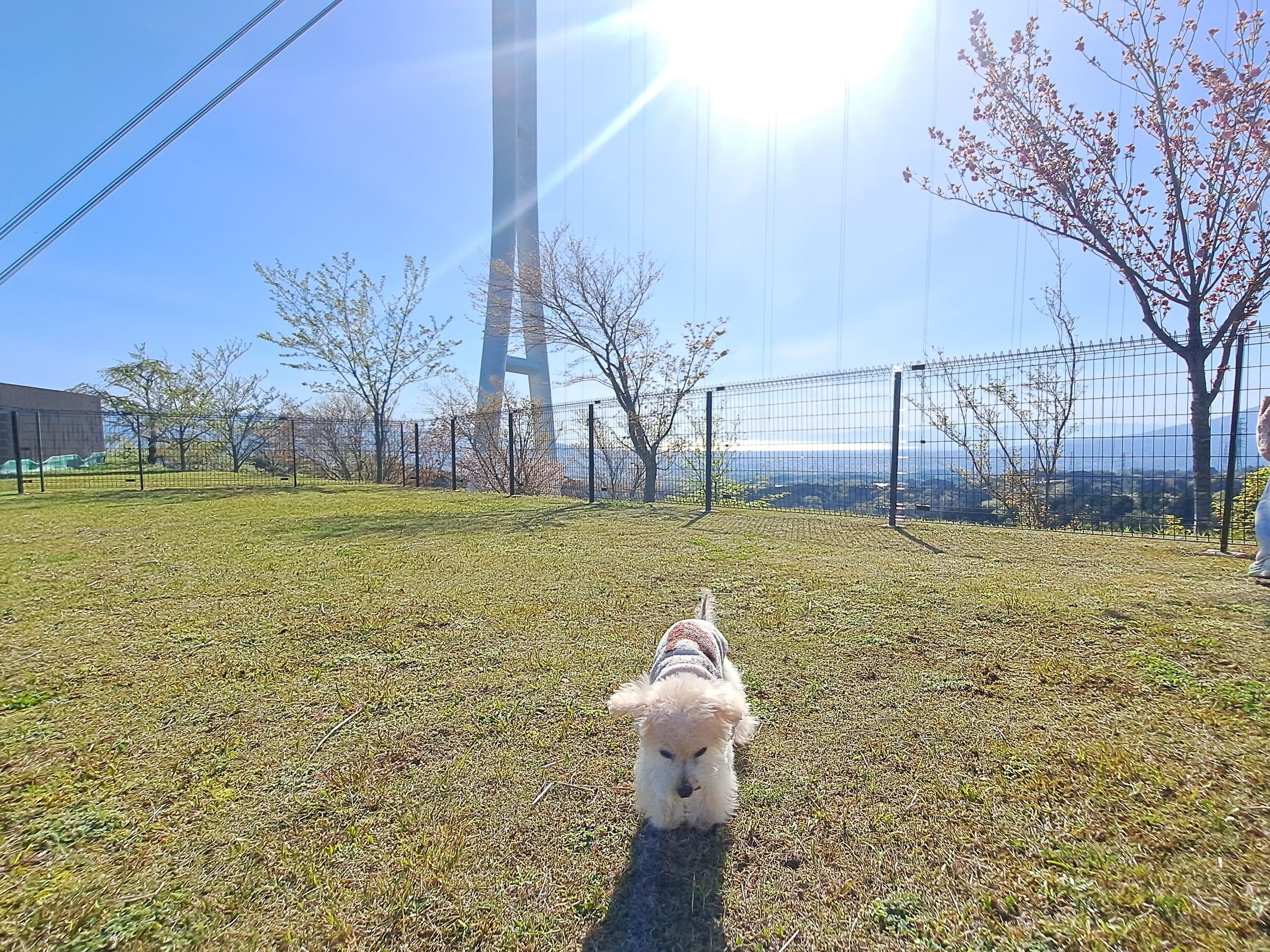 SKY DOG RUNの外観