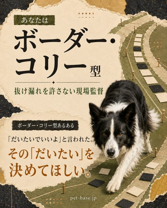 ボーダー・コリー型