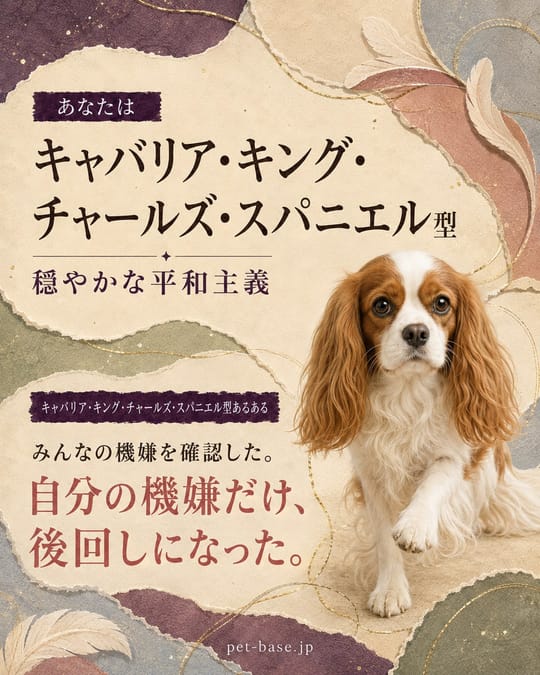 キャバリア型