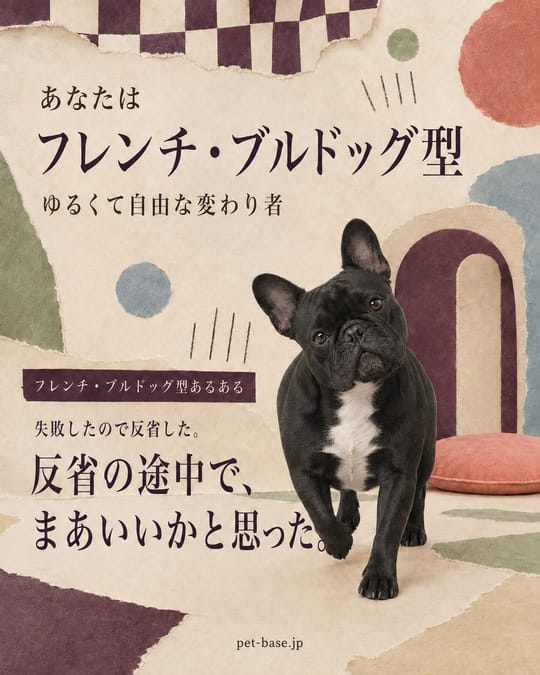 フレンチ・ブルドッグ型