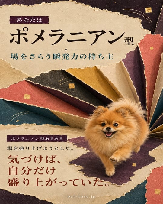 ポメラニアン型