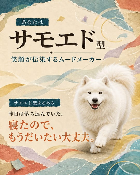 サモエド型