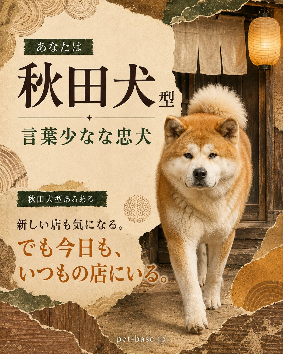 あなたは秋田犬型。言葉少なな忠犬。秋田犬型あるある。同じ店に、同じものを頼みに行き続けている