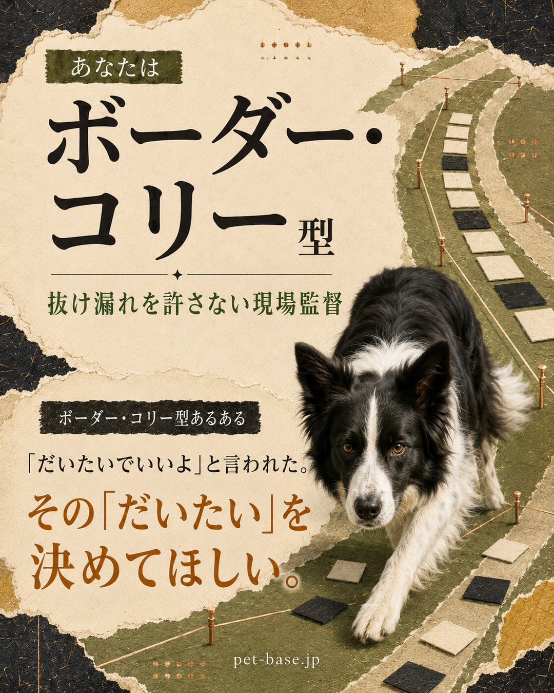 あなたはボーダー・コリー型。抜け漏れを許さない現場監督。ボーダー・コリー型あるある。人の資料の誤字が、読む前に目に入る
