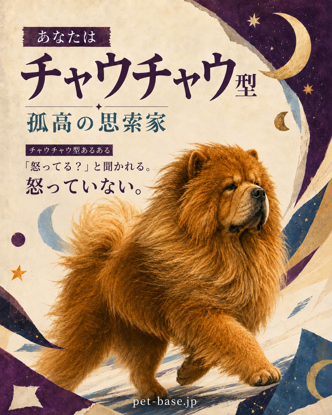 あなたはチャウチャウ型。孤高の思索家。チャウチャウ型あるある。「怒ってる?」と聞かれる。怒っていない