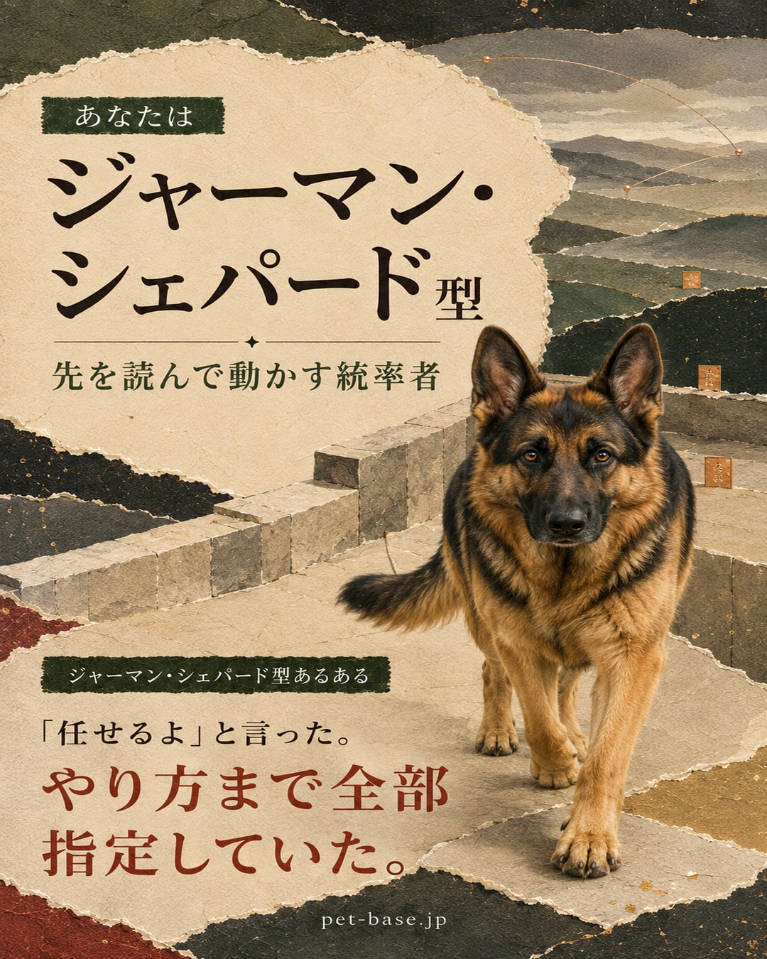 あなたはジャーマン・シェパード型。先を読んで人を動かす統率者。ジャーマン・シェパード型あるある。3年後の話を、今日の話として始めてしまう