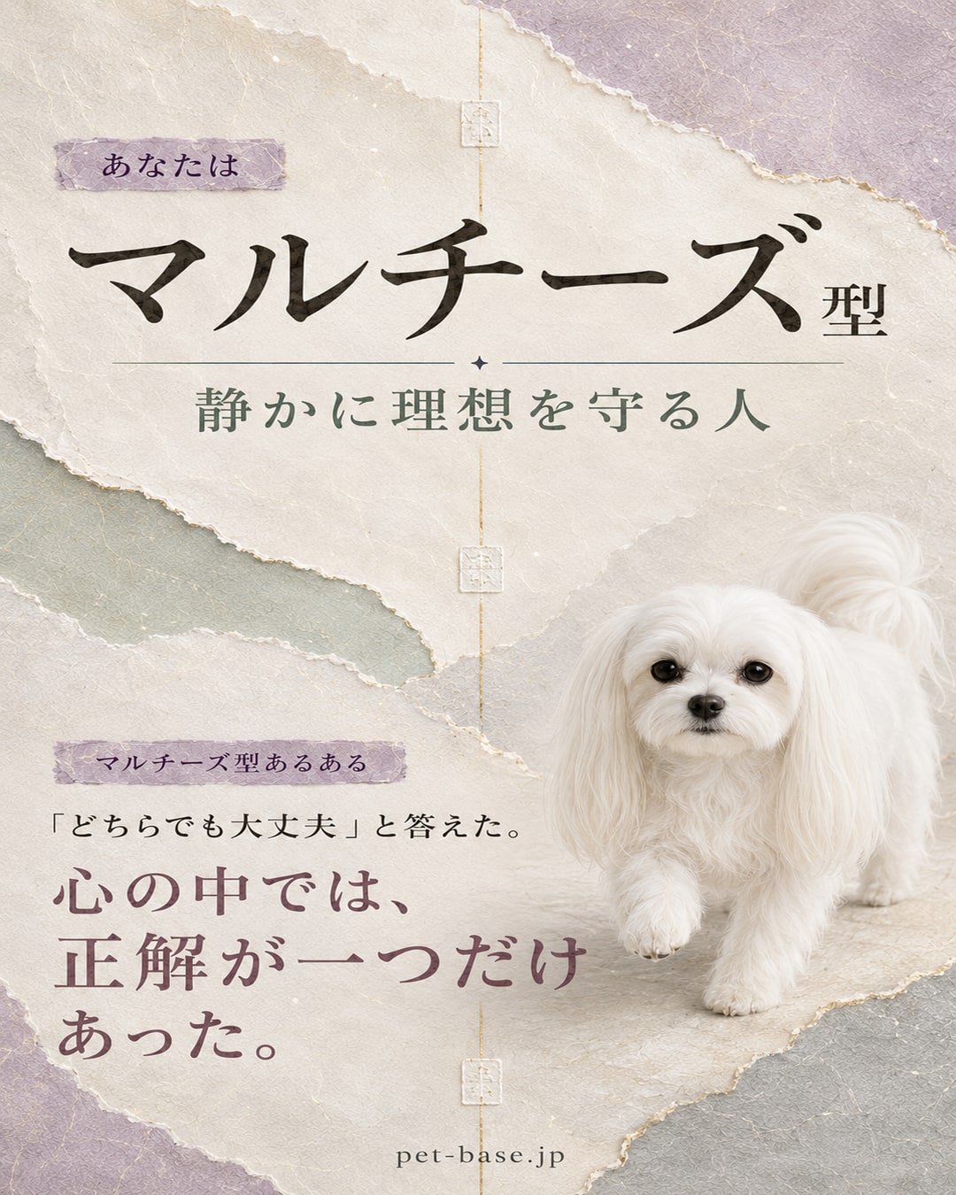 あなたはマルチーズ型。静かに理想を守る人。マルチーズ型あるある。言われた言葉を、数ヶ月後に思い出す