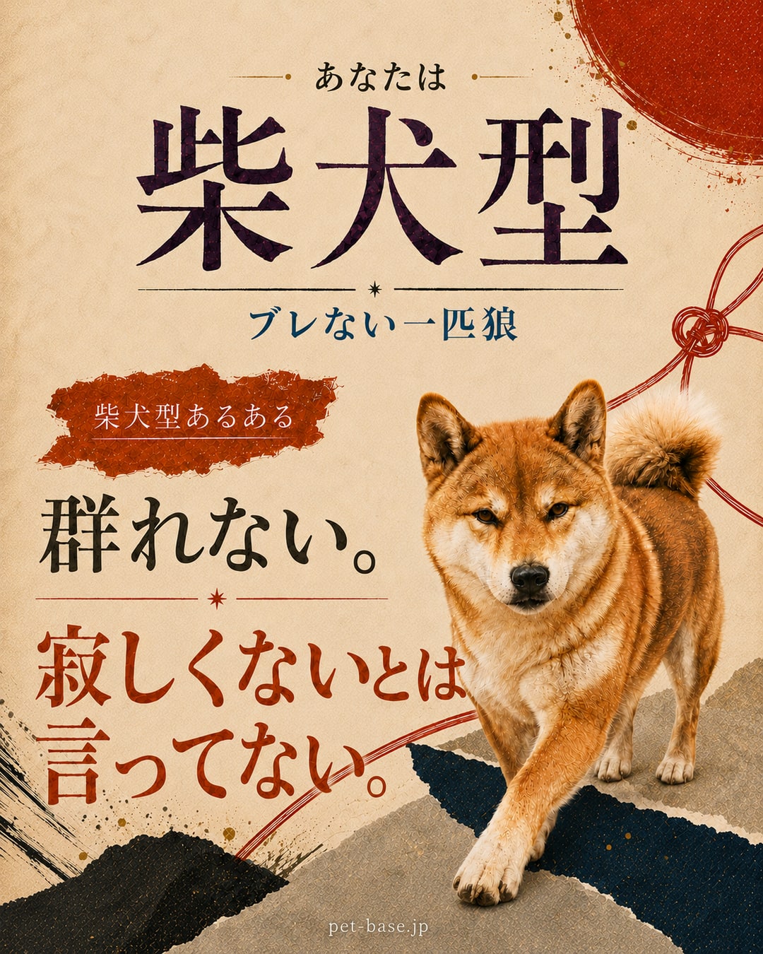 あなたは柴犬型。ブレない一匹狼。柴犬型あるある。懐いた相手にだけ、態度がまるで違うと言われる