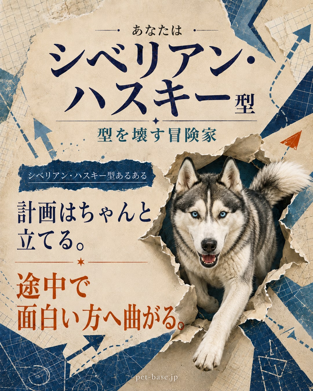あなたはシベリアン・ハスキー型。型を壊していく冒険家。シベリアン・ハスキー型あるある。誘われた旅行の行き先を、勝手に増やす